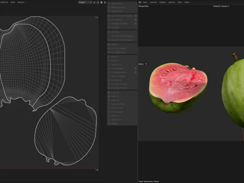 Guava Meyvesi v2 3D Model