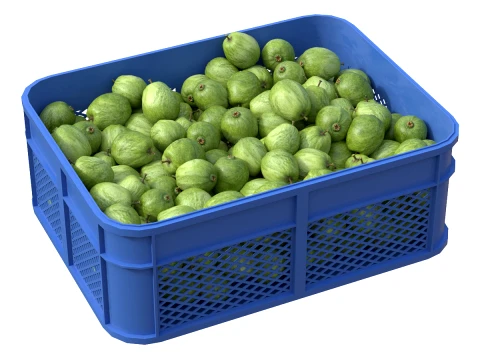 Guava Plastic Crate 3D Model
