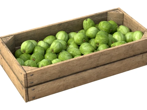 Guava Wooden Crate 3D Model