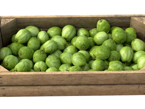 Guava Wooden Crate 3D Model