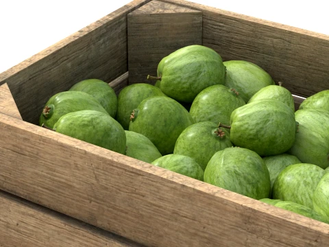 Guava Wooden Crate 3D Model