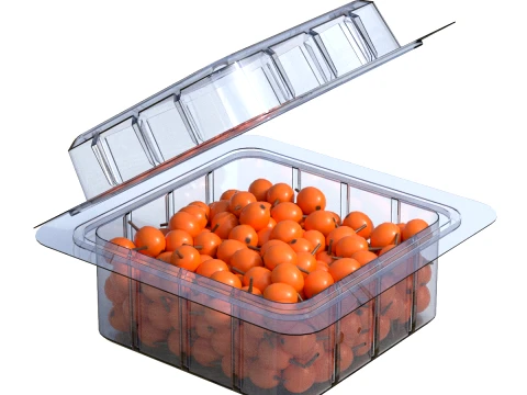 Hippophae Fruit Box Plastic Transparent 3D Model