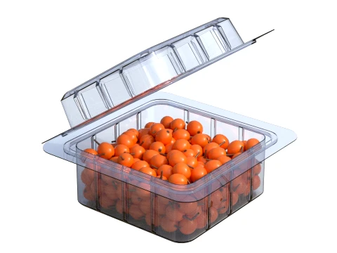 Caixa de Frutas Hippophae Pl&aacute;stico Transparente Modelo 3D