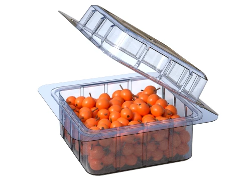 Caixa de Frutas Hippophae Pl&aacute;stico Transparente Modelo 3D