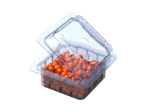 Caixa de Frutas Hippophae Pl&aacute;stico Transparente Modelo 3D