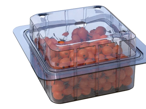 Caixa de Frutas Hippophae Pl&aacute;stico Transparente Modelo 3D