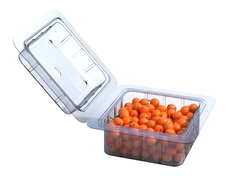 Caixa de Frutas Hippophae Pl&aacute;stico Transparente Modelo 3D