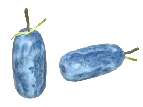 Honeyberry 3D Model