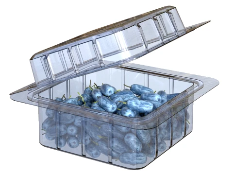 Honeyberry Fruit Box Plastic Transparent 3D Model