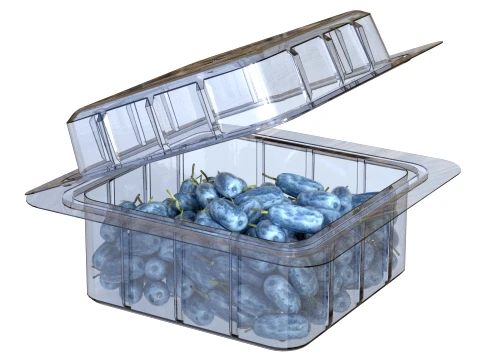 Caixa de Frutas Honeyberry Pl&aacute;stico Transparente Modelo 3D