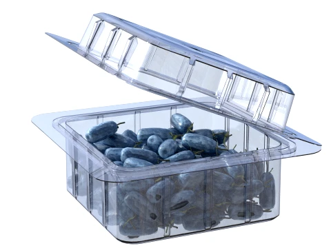 Caixa de Frutas Honeyberry Pl&aacute;stico Transparente Modelo 3D