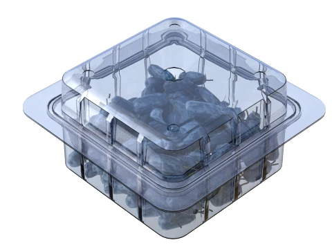 Caixa de Frutas Honeyberry Pl&aacute;stico Transparente Modelo 3D