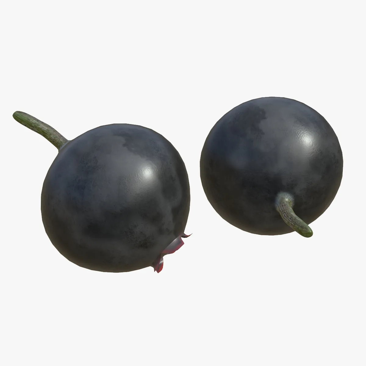Huckleberry 3D Model .c4d .max .obj .3ds .fbx .stl .blend 