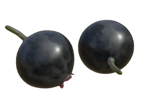 Huckleberry 3D Model