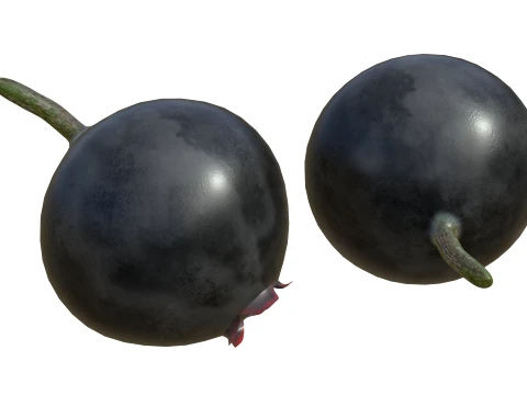Huckleberry 3D Model