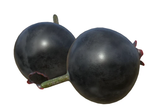Huckleberry 3D Model