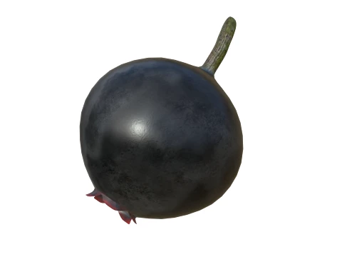 Huckleberry 3D Model