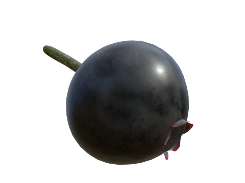 Huckleberry 3D Model