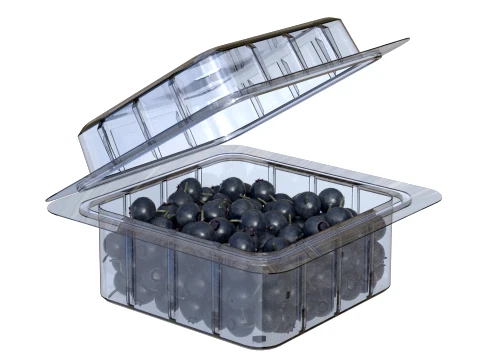 Huckleberry Fruit Box Plastic Transparent 3D Model