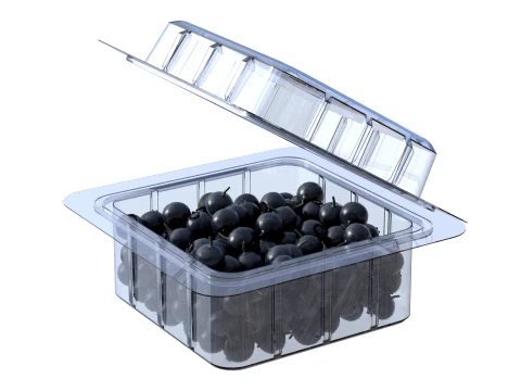 Huckleberry Fruit Box Plastic Transparent 3D Model