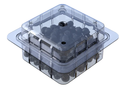 Huckleberry Fruit Box Plastic Transparent 3D Model