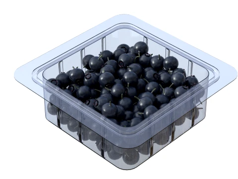 Huckleberry Fruit Box Plastic Transparent 3D Model