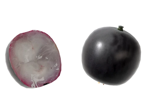 Jaboticaba Fruit 3D Model