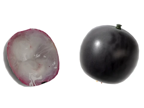 Jaboticaba Fruit 3D Model