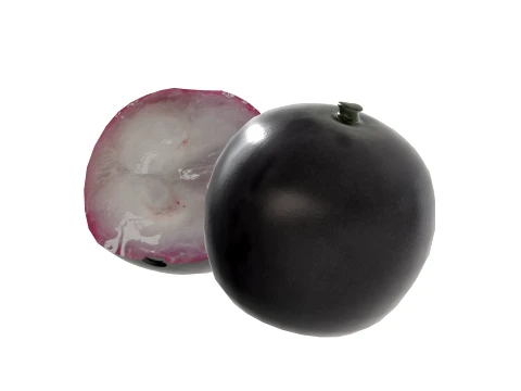 Jaboticaba Fruit 3D Model