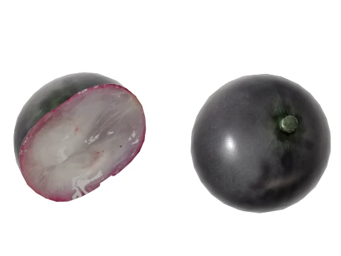 Jaboticaba Fruit 3D Model