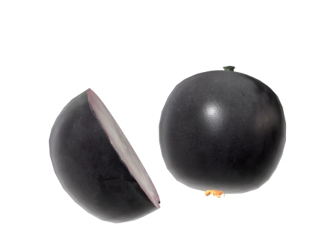 Jaboticaba Fruit 3D Model