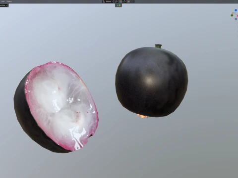 Jaboticaba Fruit 3D Model