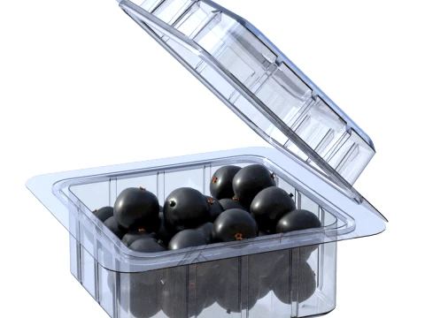Jaboticaba Fruit Box Plastic Transparent 3D Model