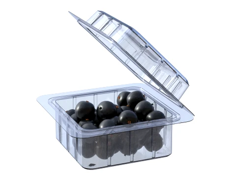 Jaboticaba Fruit Box Plastic Transparent 3D Model