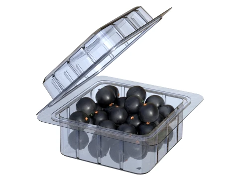 Jaboticaba Fruit Box Plastic Transparent 3D Model