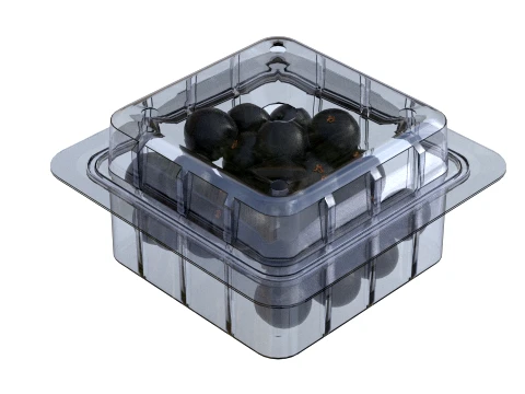 Jaboticaba Fruit Box Plastic Transparent 3D Model