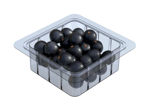 Jaboticaba Fruit Box Plastic Transparent 3D Model