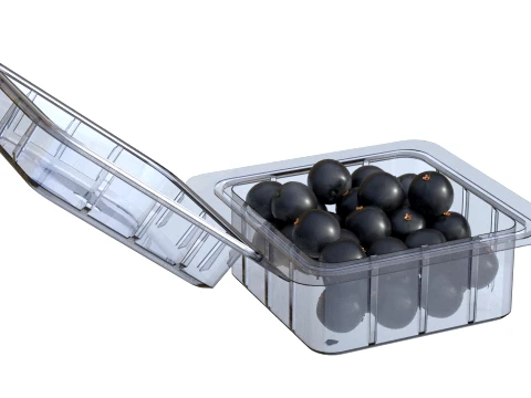 Jaboticaba Fruit Box Plastic Transparent 3D Model