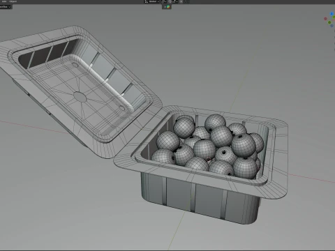 Jaboticaba Fruit Box Plastic Transparent 3D Model