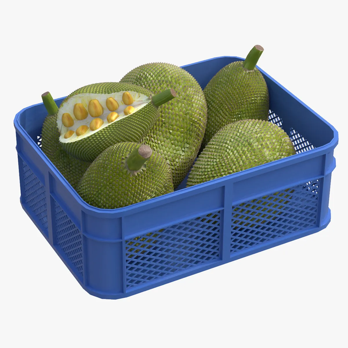 Jackfruit Plastic Crate 3D Model .c4d .max .obj .3ds .fbx .stl .blend 