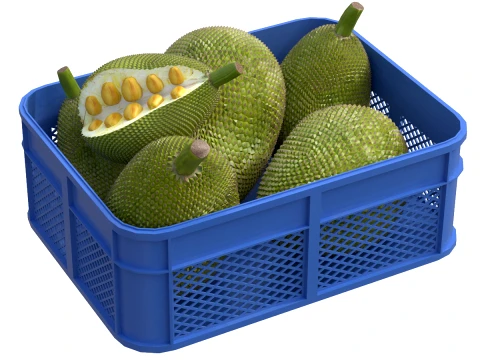Jackfruit Plastic Crate 3D Model
