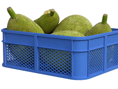 Jackfruit Plastic Crate 3D Model