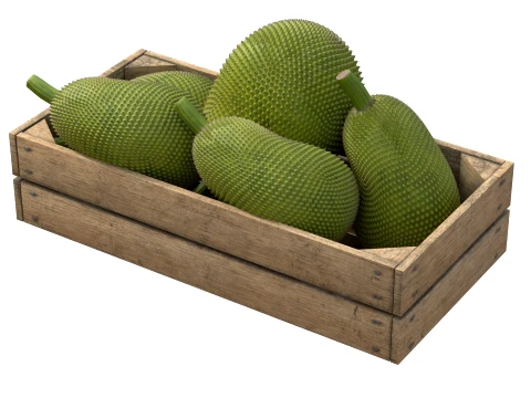 Jackfruit Wooden Crate 3D Model