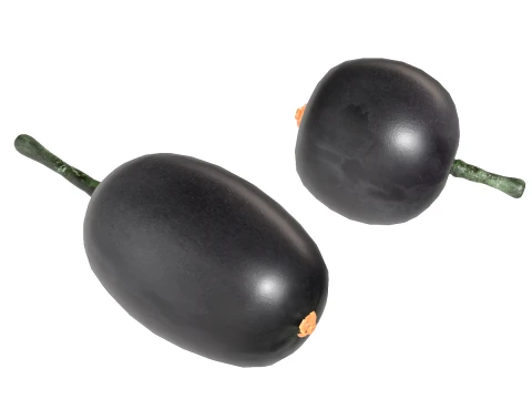 Jambul Fruit 3D Model