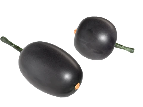 Jambul Fruit 3D Model