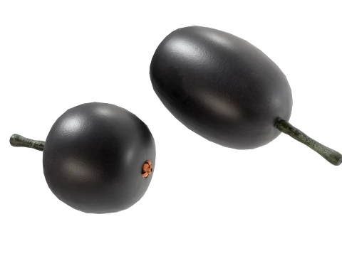 Jambul Fruit 3D Model
