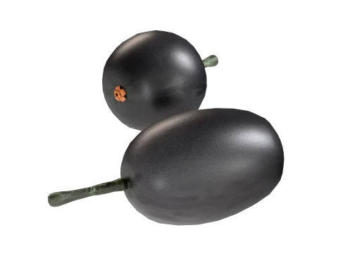 Jambul Fruit 3D Model