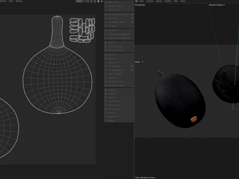 Jambul Fruit 3D Model