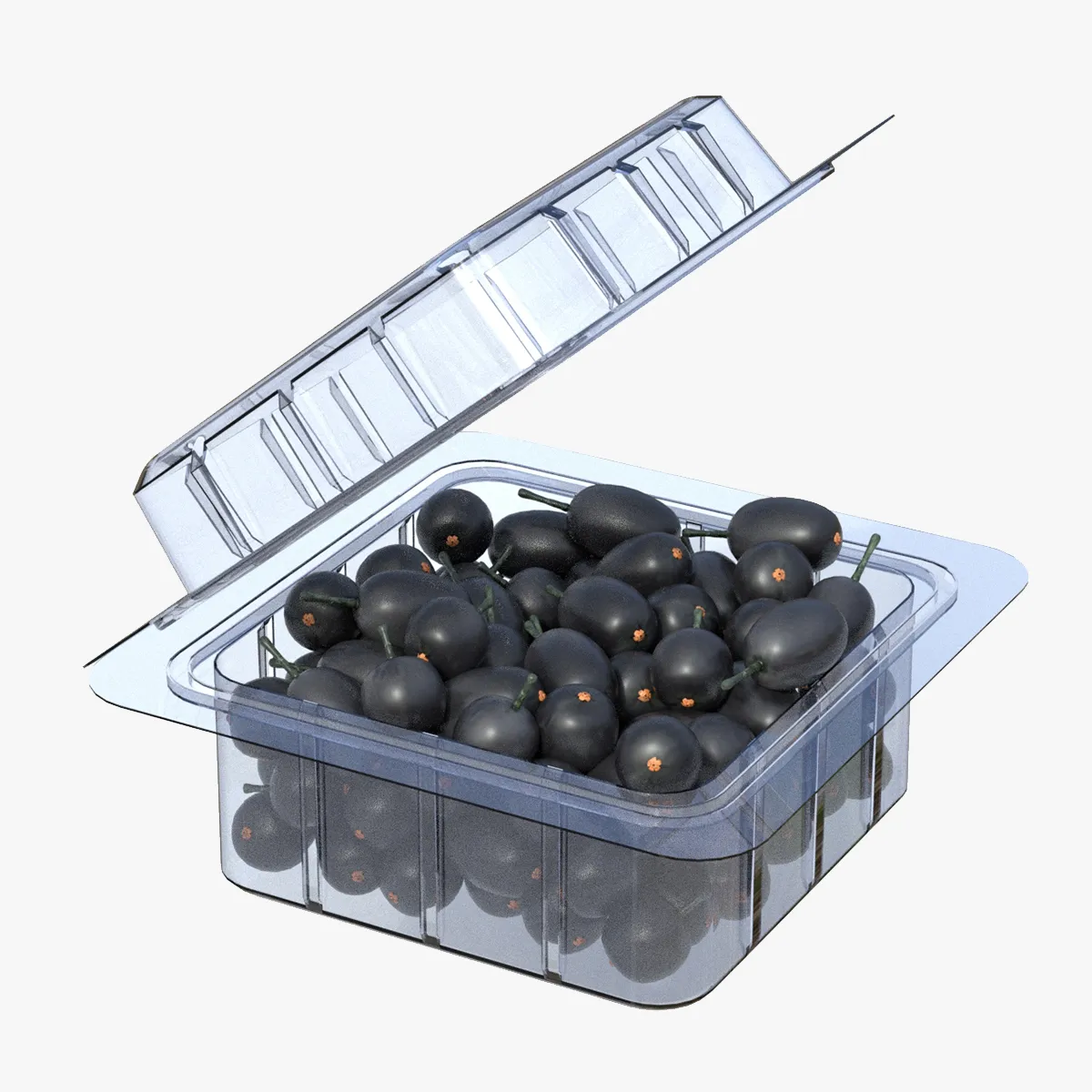 Jambul Fruit Box Plastic Transparent 3D Model .c4d .max .obj .3ds .fbx .stl .blend 