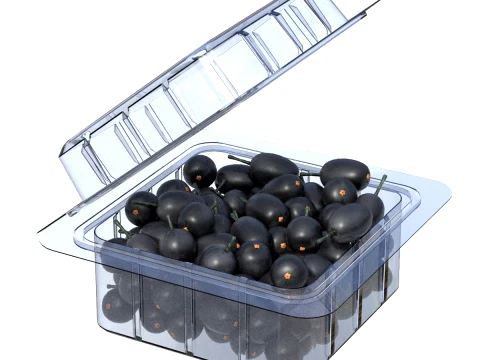 Jambul Fruit Box Plastic Transparent 3D Model